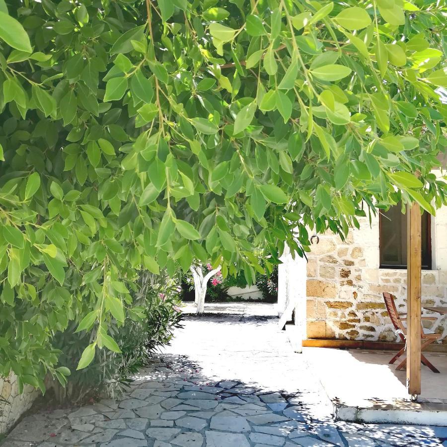 Irini Studios أليكيس المظهر الخارجي الصورة